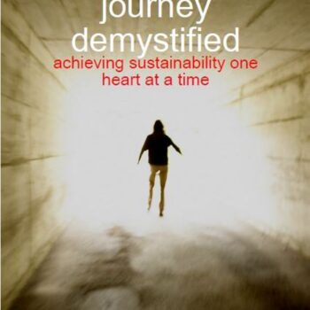 The Healing Journey Demystified book cover