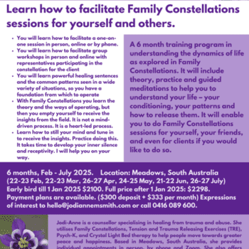 Family Constellations Facilitator Training 2025