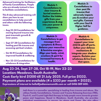 Advanced Family Constellations Facilitator Training 2025 Poster